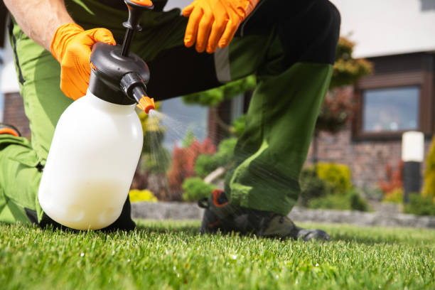Best Flea Control Services  in Ho Ho Kus, NJ